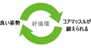良い姿勢とコアマッスルを鍛えるのは同値(好循環)