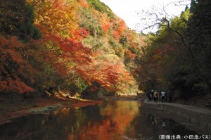 養老渓谷の紅葉