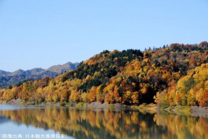 桂沢湖畔の紅葉