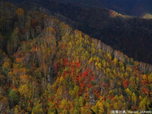 大河原峠の紅葉