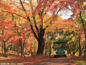プリンスグランドリゾート軽井沢の紅葉
