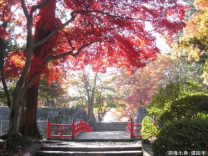 盛岡城跡公園の紅葉