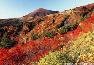 磐梯山の紅葉