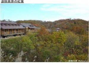 道院高原の紅葉