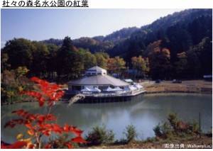 杜々の森名水公園の紅葉