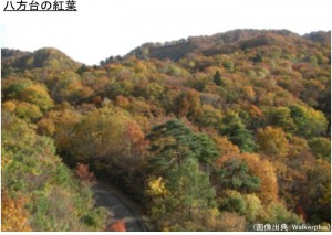 八方台の紅葉