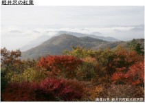 軽井沢の紅葉