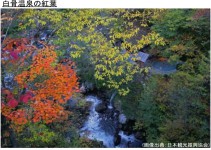 白骨温泉の紅葉