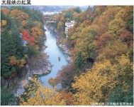 天龍峡の紅葉