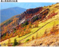 美ヶ原高原の紅葉