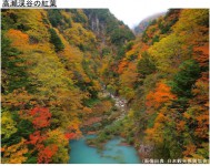 高瀬渓谷の紅葉