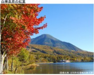 白樺高原の紅葉