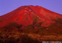 富士山の紅葉