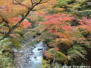 中津峡の紅葉