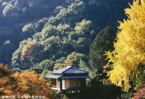 行道山浄因寺の紅葉