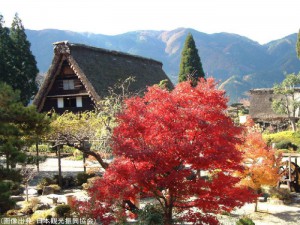 下呂温泉の紅葉