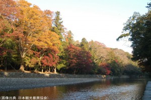 伊勢神宮の紅葉