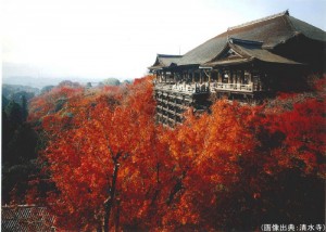 清水寺の紅葉
