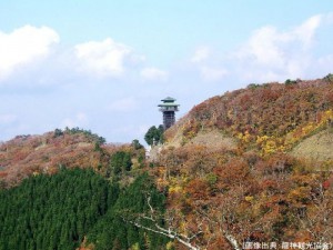 高野龍神スカイラインの紅葉