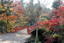 紅葉谷公園の紅葉