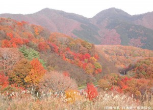 蒜山高原の紅葉
