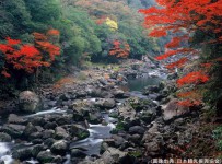 長門峡の紅葉