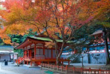 金刀比羅宮の紅葉