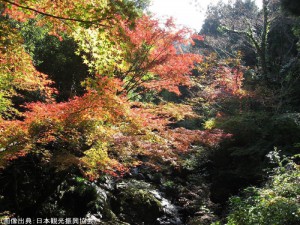 春日渓谷の紅葉