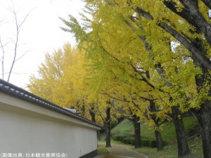 熊本城の紅葉