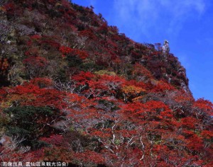 雲仙の紅葉