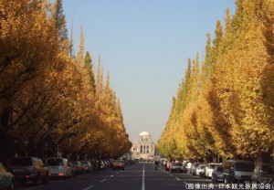 明治神宮外苑の紅葉
