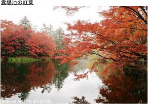雲場池の紅葉
