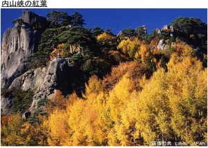 内山峡の紅葉