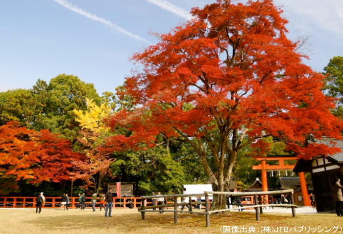 上賀茂神社の紅葉