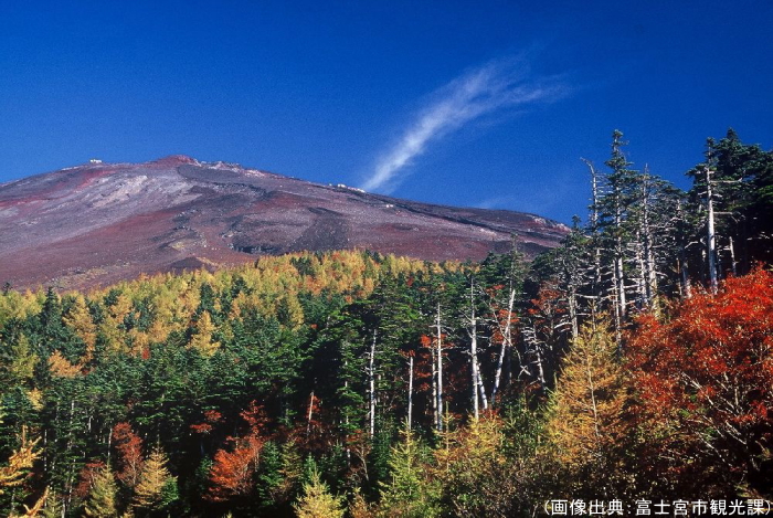富士山スカイラインの紅葉