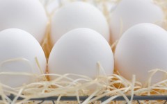 コレステロール含有量の多い卵
