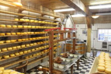 チーズの製造